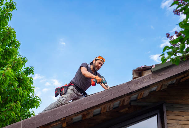 Best Roof Moss and Algae Removal  in USA